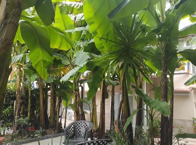 Casa Mario